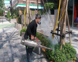 消毒公司,除蟲公司,白蟻保固,白蟻防治,消毒除蟲,坐月子中心消毒,產後護理之家消毒環境消毒,專業除蟲,辦公室消毒除蟲,社區消毒除蟲,餐廳消毒,蛀蟲防治,白蟻處理,除白蟻專家,台北除白蟻,台北除跳蚤,跳蚤處理,飯店消毒,飯店除蟲,蟑螂防治,跳蚤防治,病媒蚊消毒,臭蟲處理,臭蟲防治,姬薪蟲處理,菸甲蟲處理,消毒公司推薦,除蟲公司推薦,裝潢蟲處理,幼兒園消毒,住家消毒除蟲,白蟻防治,白蟻保固,白蟻藥,白蟻窩,特滅多,蟻巢滅,除白蟻,白蟻怕什麼,白蟻藥,白蟻油,消滅白蟻的方法,白蟻線上看,白蟻幼蟲,白蟻種類,白蟻圖,白蟻DIY ,白蟻電影,白蟻照片,台北除白蟻,新北除白蟻,除白蟻公司,白蟻達人,白蟻專家,白蟻相關,板橋除白蟻,新莊除白蟻,樹林除白蟻