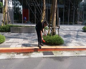 消毒公司,除蟲公司,白蟻保固,白蟻防治,消毒除蟲,坐月子中心消毒,產後護理之家消毒環境消毒,專業除蟲,辦公室消毒除蟲,社區消毒除蟲,餐廳消毒,蛀蟲防治,白蟻處理,除白蟻專家,台北除白蟻,台北除跳蚤,跳蚤處理,飯店消毒,飯店除蟲,蟑螂防治,跳蚤防治,病媒蚊消毒,臭蟲處理,臭蟲防治,姬薪蟲處理,菸甲蟲處理,消毒公司推薦,除蟲公司推薦,裝潢蟲處理,幼兒園消毒,住家消毒除蟲,白蟻防治,白蟻保固,白蟻藥,白蟻窩,特滅多,蟻巢滅,除白蟻,白蟻怕什麼,白蟻藥,白蟻油,消滅白蟻的方法,白蟻線上看,白蟻幼蟲,白蟻種類,白蟻圖,白蟻DIY ,白蟻電影,白蟻照片,台北除白蟻,新北除白蟻,除白蟻公司,白蟻達人,白蟻專家,白蟻相關,板橋除白蟻,新莊除白蟻,樹林除白蟻