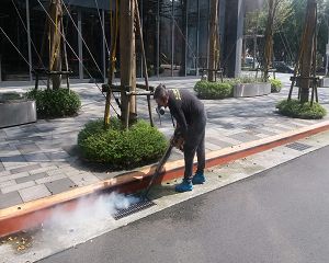 消毒公司,除蟲公司,白蟻保固,白蟻防治,消毒除蟲,坐月子中心消毒,產後護理之家消毒環境消毒,專業除蟲,辦公室消毒除蟲,社區消毒除蟲,餐廳消毒,蛀蟲防治,白蟻處理,除白蟻專家,台北除白蟻,台北除跳蚤,跳蚤處理,飯店消毒,飯店除蟲,蟑螂防治,跳蚤防治,病媒蚊消毒,臭蟲處理,臭蟲防治,姬薪蟲處理,菸甲蟲處理,消毒公司推薦,除蟲公司推薦,裝潢蟲處理,幼兒園消毒,住家消毒除蟲,白蟻防治,白蟻保固,白蟻藥,白蟻窩,特滅多,蟻巢滅,除白蟻,白蟻怕什麼,白蟻藥,白蟻油,消滅白蟻的方法,白蟻線上看,白蟻幼蟲,白蟻種類,白蟻圖,白蟻DIY ,白蟻電影,白蟻照片,台北除白蟻,新北除白蟻,除白蟻公司,白蟻達人,白蟻專家,白蟻相關,板橋除白蟻,新莊除白蟻,樹林除白蟻