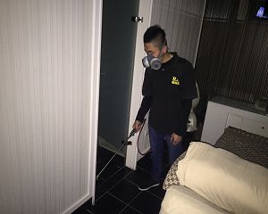 消毒公司,除蟲公司,白蟻保固,白蟻防治,消毒除蟲,坐月子中心消毒,產後護理之家消毒環境消毒,專業除蟲,辦公室消毒除蟲,社區消毒除蟲,餐廳消毒,蛀蟲防治,白蟻處理,除白蟻專家,台北除白蟻,台北除跳蚤,跳蚤處理,飯店消毒,飯店除蟲,蟑螂防治,跳蚤防治,病媒蚊消毒,臭蟲處理,臭蟲防治,姬薪蟲處理,菸甲蟲處理,消毒公司推薦,除蟲公司推薦,裝潢蟲處理,幼兒園消毒,住家消毒除蟲,白蟻防治,白蟻保固,白蟻藥,白蟻窩,特滅多,蟻巢滅,除白蟻,白蟻怕什麼,白蟻藥,白蟻油,消滅白蟻的方法,白蟻線上看,白蟻幼蟲,白蟻種類,白蟻圖,白蟻DIY ,白蟻電影,白蟻照片,台北除白蟻,新北除白蟻,除白蟻公司,白蟻達人,白蟻專家,白蟻相關,板橋除白蟻,新莊除白蟻,樹林除白蟻