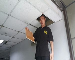 消毒公司,除蟲公司,白蟻保固,白蟻防治,消毒除蟲,坐月子中心消毒,產後護理之家消毒環境消毒,專業除蟲,辦公室消毒除蟲,社區消毒除蟲,餐廳消毒,蛀蟲防治,白蟻處理,除白蟻專家,台北除白蟻,台北除跳蚤,跳蚤處理,飯店消毒,飯店除蟲,蟑螂防治,跳蚤防治,病媒蚊消毒,臭蟲處理,臭蟲防治,姬薪蟲處理,菸甲蟲處理,消毒公司推薦,除蟲公司推薦,裝潢蟲處理,幼兒園消毒,住家消毒除蟲,白蟻防治,白蟻保固,白蟻藥,白蟻窩,特滅多,蟻巢滅,除白蟻,白蟻怕什麼,白蟻藥,白蟻油,消滅白蟻的方法,白蟻線上看,白蟻幼蟲,白蟻種類,白蟻圖,白蟻DIY ,白蟻電影,白蟻照片,台北除白蟻,新北除白蟻,除白蟻公司,白蟻達人,白蟻專家,白蟻相關,板橋除白蟻,新莊除白蟻,樹林除白蟻