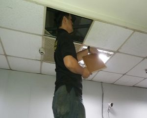 消毒公司,除蟲公司,白蟻保固,白蟻防治,消毒除蟲,坐月子中心消毒,產後護理之家消毒環境消毒,專業除蟲,辦公室消毒除蟲,社區消毒除蟲,餐廳消毒,蛀蟲防治,白蟻處理,除白蟻專家,台北除白蟻,台北除跳蚤,跳蚤處理,飯店消毒,飯店除蟲,蟑螂防治,跳蚤防治,病媒蚊消毒,臭蟲處理,臭蟲防治,姬薪蟲處理,菸甲蟲處理,消毒公司推薦,除蟲公司推薦,裝潢蟲處理,幼兒園消毒,住家消毒除蟲,白蟻防治,白蟻保固,白蟻藥,白蟻窩,特滅多,蟻巢滅,除白蟻,白蟻怕什麼,白蟻藥,白蟻油,消滅白蟻的方法,白蟻線上看,白蟻幼蟲,白蟻種類,白蟻圖,白蟻DIY ,白蟻電影,白蟻照片,台北除白蟻,新北除白蟻,除白蟻公司,白蟻達人,白蟻專家,白蟻相關,板橋除白蟻,新莊除白蟻,樹林除白蟻