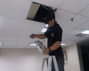 消毒公司,除蟲公司,白蟻保固,白蟻防治,消毒除蟲,坐月子中心消毒,產後護理之家消毒環境消毒,專業除蟲,辦公室消毒除蟲,社區消毒除蟲,餐廳消毒,蛀蟲防治,白蟻處理,除白蟻專家,台北除白蟻,台北除跳蚤,跳蚤處理,飯店消毒,飯店除蟲,蟑螂防治,跳蚤防治,病媒蚊消毒,臭蟲處理,臭蟲防治,姬薪蟲處理,菸甲蟲處理,消毒公司推薦,除蟲公司推薦,裝潢蟲處理,幼兒園消毒,住家消毒除蟲,白蟻防治,白蟻保固,白蟻藥,白蟻窩,特滅多,蟻巢滅,除白蟻,白蟻怕什麼,白蟻藥,白蟻油,消滅白蟻的方法,白蟻線上看,白蟻幼蟲,白蟻種類,白蟻圖,白蟻DIY ,白蟻電影,白蟻照片,台北除白蟻,新北除白蟻,除白蟻公司,白蟻達人,白蟻專家,白蟻相關,板橋除白蟻,新莊除白蟻,樹林除白蟻