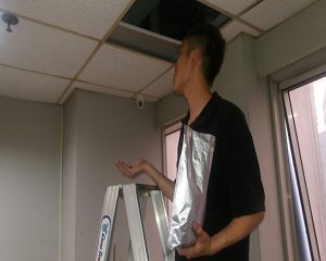 消毒公司,除蟲公司,白蟻保固,白蟻防治,消毒除蟲,坐月子中心消毒,產後護理之家消毒環境消毒,專業除蟲,辦公室消毒除蟲,社區消毒除蟲,餐廳消毒,蛀蟲防治,白蟻處理,除白蟻專家,台北除白蟻,台北除跳蚤,跳蚤處理,飯店消毒,飯店除蟲,蟑螂防治,跳蚤防治,病媒蚊消毒,臭蟲處理,臭蟲防治,姬薪蟲處理,菸甲蟲處理,消毒公司推薦,除蟲公司推薦,裝潢蟲處理,幼兒園消毒,住家消毒除蟲,白蟻防治,白蟻保固,白蟻藥,白蟻窩,特滅多,蟻巢滅,除白蟻,白蟻怕什麼,白蟻藥,白蟻油,消滅白蟻的方法,白蟻線上看,白蟻幼蟲,白蟻種類,白蟻圖,白蟻DIY ,白蟻電影,白蟻照片,台北除白蟻,新北除白蟻,除白蟻公司,白蟻達人,白蟻專家,白蟻相關,板橋除白蟻,新莊除白蟻,樹林除白蟻