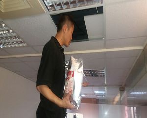 消毒公司,除蟲公司,白蟻保固,白蟻防治,消毒除蟲,坐月子中心消毒,產後護理之家消毒環境消毒,專業除蟲,辦公室消毒除蟲,社區消毒除蟲,餐廳消毒,蛀蟲防治,白蟻處理,除白蟻專家,台北除白蟻,台北除跳蚤,跳蚤處理,飯店消毒,飯店除蟲,蟑螂防治,跳蚤防治,病媒蚊消毒,臭蟲處理,臭蟲防治,姬薪蟲處理,菸甲蟲處理,消毒公司推薦,除蟲公司推薦,裝潢蟲處理,幼兒園消毒,住家消毒除蟲,白蟻防治,白蟻保固,白蟻藥,白蟻窩,特滅多,蟻巢滅,除白蟻,白蟻怕什麼,白蟻藥,白蟻油,消滅白蟻的方法,白蟻線上看,白蟻幼蟲,白蟻種類,白蟻圖,白蟻DIY ,白蟻電影,白蟻照片,台北除白蟻,新北除白蟻,除白蟻公司,白蟻達人,白蟻專家,白蟻相關,板橋除白蟻,新莊除白蟻,樹林除白蟻