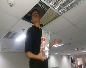 消毒公司,除蟲公司,白蟻保固,白蟻防治,消毒除蟲,坐月子中心消毒,產後護理之家消毒環境消毒,專業除蟲,辦公室消毒除蟲,社區消毒除蟲,餐廳消毒,蛀蟲防治,白蟻處理,除白蟻專家,台北除白蟻,台北除跳蚤,跳蚤處理,飯店消毒,飯店除蟲,蟑螂防治,跳蚤防治,病媒蚊消毒,臭蟲處理,臭蟲防治,姬薪蟲處理,菸甲蟲處理,消毒公司推薦,除蟲公司推薦,裝潢蟲處理,幼兒園消毒,住家消毒除蟲,白蟻防治,白蟻保固,白蟻藥,白蟻窩,特滅多,蟻巢滅,除白蟻,白蟻怕什麼,白蟻藥,白蟻油,消滅白蟻的方法,白蟻線上看,白蟻幼蟲,白蟻種類,白蟻圖,白蟻DIY ,白蟻電影,白蟻照片,台北除白蟻,新北除白蟻,除白蟻公司,白蟻達人,白蟻專家,白蟻相關,板橋除白蟻,新莊除白蟻,樹林除白蟻