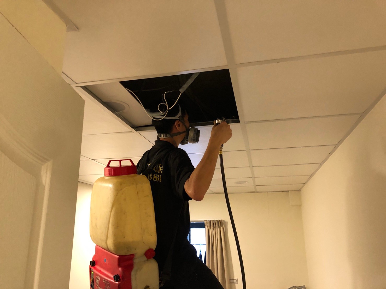 白蟻防治,白蟻保固,白蟻藥,白蟻窩,特滅多,蟻巢滅,除白蟻,白蟻怕什麼,白蟻藥,白蟻油,消滅白蟻的方法,白蟻線上看,白蟻幼蟲,白蟻種類,白蟻圖,白蟻DIY ,白蟻電影,白蟻照片,台北除白蟻,新北除白蟻,除白蟻公司,白蟻達人,白蟻專家,白蟻相關,板橋除白蟻,新莊除白蟻,樹林除白蟻