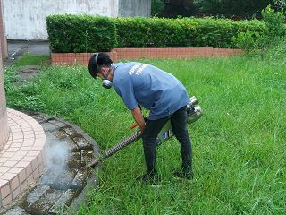 消毒公司,除蟲公司,白蟻保固,白蟻防治,消毒除蟲,坐月子中心消毒,產後護理之家消毒環境消毒,專業除蟲,辦公室消毒除蟲,社區消毒除蟲,餐廳消毒,蛀蟲防治,白蟻處理,除白蟻專家,台北除白蟻,台北除跳蚤,跳蚤處理,飯店消毒,飯店除蟲,蟑螂防治,跳蚤防治,病媒蚊消毒,臭蟲處理,臭蟲防治,姬薪蟲處理,菸甲蟲處理,消毒公司推薦,除蟲公司推薦,裝潢蟲處理,幼兒園消毒,住家消毒除蟲,白蟻防治,白蟻保固,白蟻藥,白蟻窩,特滅多,蟻巢滅,除白蟻,白蟻怕什麼,白蟻藥,白蟻油,消滅白蟻的方法,白蟻線上看,白蟻幼蟲,白蟻種類,白蟻圖,白蟻DIY ,白蟻電影,白蟻照片,台北除白蟻,新北除白蟻,除白蟻公司,白蟻達人,白蟻專家,白蟻相關,板橋除白蟻,新莊除白蟻,樹林除白蟻