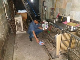 白蟻防治,白蟻保固,白蟻藥,白蟻窩,特滅多,蟻巢滅,除白蟻,白蟻怕什麼,白蟻藥,白蟻油,消滅白蟻的方法,白蟻線上看,白蟻幼蟲,白蟻種類,白蟻圖,白蟻DIY ,白蟻電影,白蟻照片,台北除白蟻,新北除白蟻,除白蟻公司,白蟻達人,白蟻專家,白蟻相關,板橋除白蟻,新莊除白蟻,樹林除白蟻