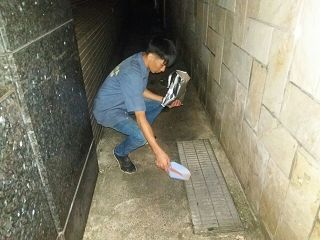 白蟻防治,白蟻保固,白蟻藥,白蟻窩,特滅多,蟻巢滅,除白蟻,白蟻怕什麼,白蟻藥,白蟻油,消滅白蟻的方法,白蟻線上看,白蟻幼蟲,白蟻種類,白蟻圖,白蟻DIY ,白蟻電影,白蟻照片,台北除白蟻,新北除白蟻,除白蟻公司,白蟻達人,白蟻專家,白蟻相關,板橋除白蟻,新莊除白蟻,樹林除白蟻