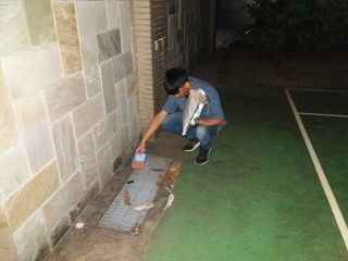 白蟻防治,白蟻保固,白蟻藥,白蟻窩,特滅多,蟻巢滅,除白蟻,白蟻怕什麼,白蟻藥,白蟻油,消滅白蟻的方法,白蟻線上看,白蟻幼蟲,白蟻種類,白蟻圖,白蟻DIY ,白蟻電影,白蟻照片,台北除白蟻,新北除白蟻,除白蟻公司,白蟻達人,白蟻專家,白蟻相關,板橋除白蟻,新莊除白蟻,樹林除白蟻