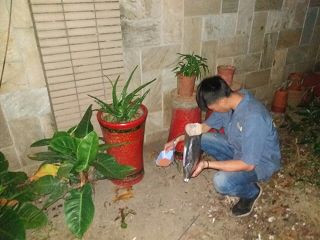 白蟻防治,白蟻保固,白蟻藥,白蟻窩,特滅多,蟻巢滅,除白蟻,白蟻怕什麼,白蟻藥,白蟻油,消滅白蟻的方法,白蟻線上看,白蟻幼蟲,白蟻種類,白蟻圖,白蟻DIY ,白蟻電影,白蟻照片,台北除白蟻,新北除白蟻,除白蟻公司,白蟻達人,白蟻專家,白蟻相關,板橋除白蟻,新莊除白蟻,樹林除白蟻