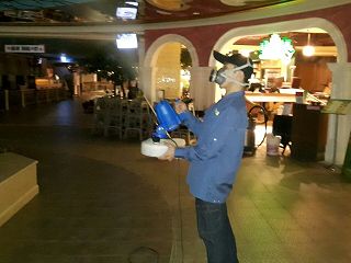 消毒公司，除蟲公司，白蟻保固，白蟻防治，消毒除蟲，坐月子中心消毒，產後護理之家消毒環境消毒，專業除蟲，辦公室消毒除蟲，社區消毒除蟲，餐廳消毒，蛀蟲防治，白蟻處理，除白蟻專家，台北除白蟻，台北除跳蚤，跳蚤處理，飯店消毒，飯店除蟲，蟑螂防治，跳蚤防治，病媒蚊消毒，臭蟲處理，臭蟲防治，姬薪蟲處理，菸甲蟲處理，消毒公司推薦，除蟲公司推薦，裝潢蟲處理，幼兒園消毒，住家消毒除蟲，白蟻防治，白蟻保固，白蟻藥，白蟻窩，特滅多，蟻巢滅，除白蟻，白蟻怕什麼，白蟻藥，白蟻油，消滅白蟻的方法，白蟻線上看，白蟻幼蟲，白蟻種類，白蟻圖，白蟻DIY，武漢肺炎，新冠狀病毒，辦公室殺菌，月子中心殺菌，護理之家殺菌，室內殺菌