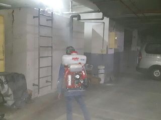 消毒公司，除蟲公司，白蟻保固，白蟻防治，消毒除蟲，坐月子中心消毒，產後護理之家消毒環境消毒，專業除蟲，辦公室消毒除蟲，社區消毒除蟲，餐廳消毒，蛀蟲防治，白蟻處理，除白蟻專家，台北除白蟻，台北除跳蚤，跳蚤處理，飯店消毒，飯店除蟲，蟑螂防治，跳蚤防治，病媒蚊消毒，臭蟲處理，臭蟲防治，姬薪蟲處理，菸甲蟲處理，消毒公司推薦，除蟲公司推薦，裝潢蟲處理，幼兒園消毒，住家消毒除蟲，白蟻防治，白蟻保固，白蟻藥，白蟻窩，特滅多，蟻巢滅，除白蟻，白蟻怕什麼，白蟻藥，白蟻油，消滅白蟻的方法，白蟻線上看，白蟻幼蟲，白蟻種類，白蟻圖，白蟻DIY，武漢肺炎，新冠狀病毒，辦公室殺菌，月子中心殺菌，護理之家殺菌，室內殺菌