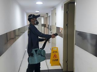 消毒公司推薦，除蟲公司推薦，裝潢蟲處理，幼兒園消毒，住家消毒除蟲，白蟻防治，白蟻保固，白蟻藥，白蟻窩，特滅多，蟻巢滅，除白蟻，白蟻怕什麼，白蟻藥，白蟻油，消滅白蟻的方法，白蟻線上看，白蟻幼蟲，白蟻種類，白蟻圖，白蟻DIY，武漢肺炎，新冠狀病毒，辦公室殺菌，月子中心殺菌，護理之家殺菌，室內殺菌