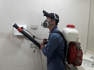 消毒公司推薦，除蟲公司推薦，裝潢蟲處理，幼兒園消毒，住家消毒除蟲，白蟻防治，白蟻保固，白蟻藥，白蟻窩，特滅多，蟻巢滅，除白蟻，白蟻怕什麼，白蟻藥，白蟻油，消滅白蟻的方法，白蟻線上看，白蟻幼蟲，白蟻種類，白蟻圖，白蟻DIY，武漢肺炎，新冠狀病毒，辦公室殺菌，月子中心殺菌，護理之家殺菌，室內殺菌