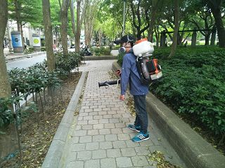 消毒公司，除蟲公司，白蟻保固，白蟻防治，消毒除蟲，坐月子中心消毒，產後護理之家消毒環境消毒，專業除蟲，辦公室消毒除蟲，社區消毒除蟲，餐廳消毒，蛀蟲防治，白蟻處理，除白蟻專家，台北除白蟻，台北除跳蚤，跳蚤處理，飯店消毒，飯店除蟲，蟑螂防治，跳蚤防治，病媒蚊消毒，臭蟲處理，臭蟲防治，姬薪蟲處理，菸甲蟲處理，消毒公司推薦，除蟲公司推薦，裝潢蟲處理，幼兒園消毒，住家消毒除蟲，白蟻防治，白蟻保固，白蟻藥，白蟻窩，特滅多，蟻巢滅，除白蟻，白蟻怕什麼，白蟻藥，白蟻油，消滅白蟻的方法，白蟻線上看，白蟻幼蟲，白蟻種類，白蟻圖，白蟻DIY，武漢肺炎，新冠狀病毒，辦公室殺菌，月子中心殺菌，護理之家殺菌，室內殺菌