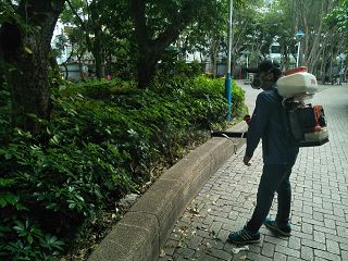 消毒公司，除蟲公司，白蟻保固，白蟻防治，消毒除蟲，坐月子中心消毒，產後護理之家消毒環境消毒，專業除蟲，辦公室消毒除蟲，社區消毒除蟲，餐廳消毒，蛀蟲防治，白蟻處理，除白蟻專家，台北除白蟻，台北除跳蚤，跳蚤處理，飯店消毒，飯店除蟲，蟑螂防治，跳蚤防治，病媒蚊消毒，臭蟲處理，臭蟲防治，姬薪蟲處理，菸甲蟲處理，消毒公司推薦，除蟲公司推薦，裝潢蟲處理，幼兒園消毒，住家消毒除蟲，白蟻防治，白蟻保固，白蟻藥，白蟻窩，特滅多，蟻巢滅，除白蟻，白蟻怕什麼，白蟻藥，白蟻油，消滅白蟻的方法，白蟻線上看，白蟻幼蟲，白蟻種類，白蟻圖，白蟻DIY，武漢肺炎，新冠狀病毒，辦公室殺菌，月子中心殺菌，護理之家殺菌，室內殺菌