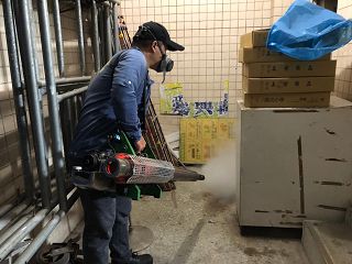 消毒公司，除蟲公司，白蟻保固，白蟻防治，消毒除蟲，坐月子中心消毒，產後護理之家消毒環境消毒，專業除蟲，辦公室消毒除蟲，社區消毒除蟲，餐廳消毒，蛀蟲防治，白蟻處理，除白蟻專家，台北除白蟻，台北除跳蚤，跳蚤處理，飯店消毒，飯店除蟲，蟑螂防治，跳蚤防治，病媒蚊消毒，臭蟲處理，臭蟲防治，姬薪蟲處理，菸甲蟲處理，消毒公司推薦，除蟲公司推薦，裝潢蟲處理，幼兒園消毒，住家消毒除蟲，白蟻防治，白蟻保固，白蟻藥，白蟻窩，特滅多，蟻巢滅，除白蟻，白蟻怕什麼，白蟻藥，白蟻油，消滅白蟻的方法，白蟻線上看，白蟻幼蟲，白蟻種類，白蟻圖，白蟻DIY，武漢肺炎，新冠狀病毒，辦公室殺菌，月子中心殺菌，護理之家殺菌，室內殺菌