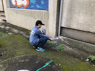 消毒公司，除蟲公司，白蟻保固，白蟻防治，消毒除蟲，坐月子中心消毒，產後護理之家消毒環境消毒，專業除蟲，辦公室消毒除蟲，社區消毒除蟲，餐廳消毒，蛀蟲防治，白蟻處理，除白蟻專家，台北除白蟻，台北除跳蚤，跳蚤處理，飯店消毒，飯店除蟲，蟑螂防治，跳蚤防治，病媒蚊消毒，臭蟲處理，臭蟲防治，姬薪蟲處理，菸甲蟲處理，消毒公司推薦，除蟲公司推薦，裝潢蟲處理，幼兒園消毒，住家消毒除蟲，白蟻防治，白蟻保固，白蟻藥，白蟻窩，特滅多，蟻巢滅，除白蟻，白蟻怕什麼，白蟻藥，白蟻油，消滅白蟻的方法，白蟻線上看，白蟻幼蟲，白蟻種類，白蟻圖，白蟻DIY，武漢肺炎，新冠狀病毒，辦公室殺菌，月子中心殺菌，護理之家殺菌，室內殺菌