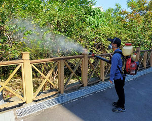 消毒公司,除蟲公司,白蟻保固,白蟻防治,消毒除蟲,坐月子中心消毒,產後護理之家消毒環境消毒,專業除蟲,辦公室消毒除蟲,社區消毒除蟲,餐廳消毒,蛀蟲防治,白蟻處理,除白蟻專家,台北除白蟻,台北除跳蚤,跳蚤處理,飯店消毒,飯店除蟲,蟑螂防治,跳蚤防治,病媒蚊消毒,臭蟲處理,臭蟲防治,姬薪蟲處理,菸甲蟲處理,消毒公司推薦,除蟲公司推薦,裝潢蟲處理,幼兒園消毒,住家消毒除蟲,白蟻防治,白蟻保固,白蟻藥,白蟻窩,特滅多,蟻巢滅,除白蟻,白蟻怕什麼,白蟻藥,白蟻油,消滅白蟻的方法,白蟻線上看,白蟻幼蟲,白蟻種類,白蟻圖,白蟻DIY,武漢肺炎,新冠狀病毒,辦公室殺菌,月子中心殺菌,護理之家殺菌,室內殺菌