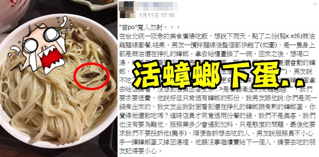 噁爆! 百貨美食廣場吃到"活蟑螂下蛋"