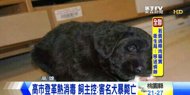 高市登革熱消毒 飼主控：害名犬暴斃亡